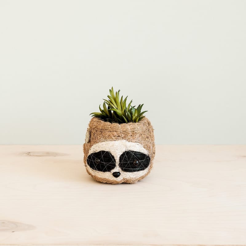 Three-tone Sloth Coco Coir Planter - Handmade Planters · LIKHÂ