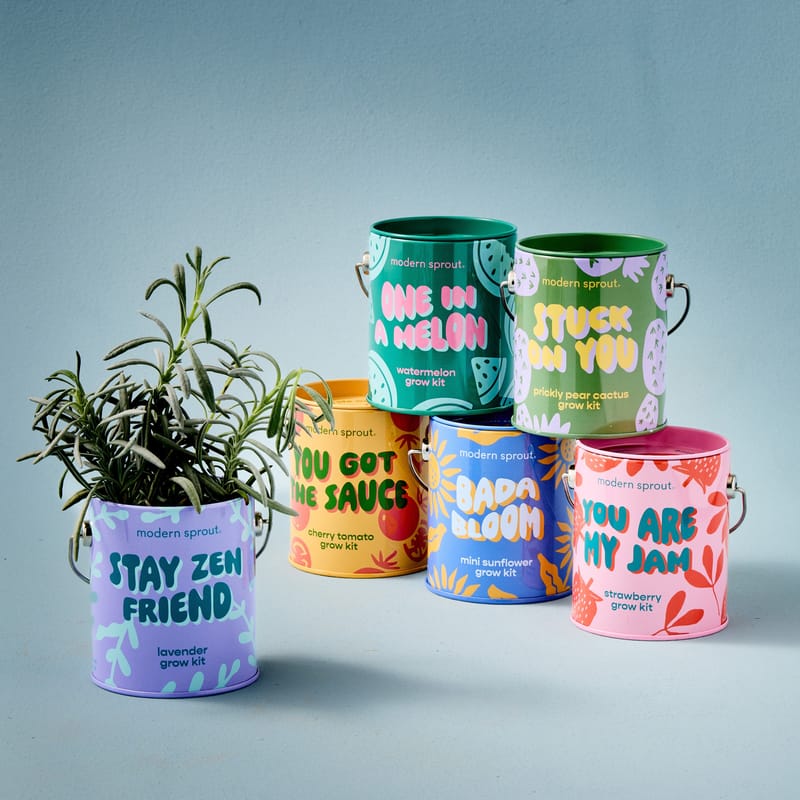 Complimentary Colors Grow Kits