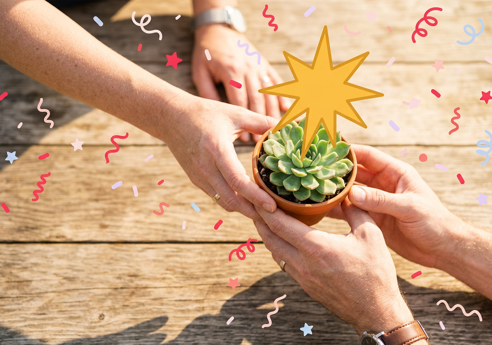 Hands passing a small succulent across a sunlit table with an illustrated gold star