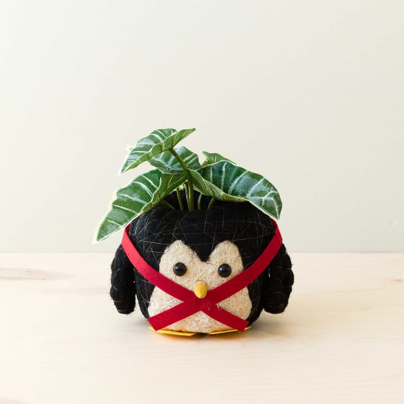 Penguin Planter - Coco Coir Pot · LIKHÂ